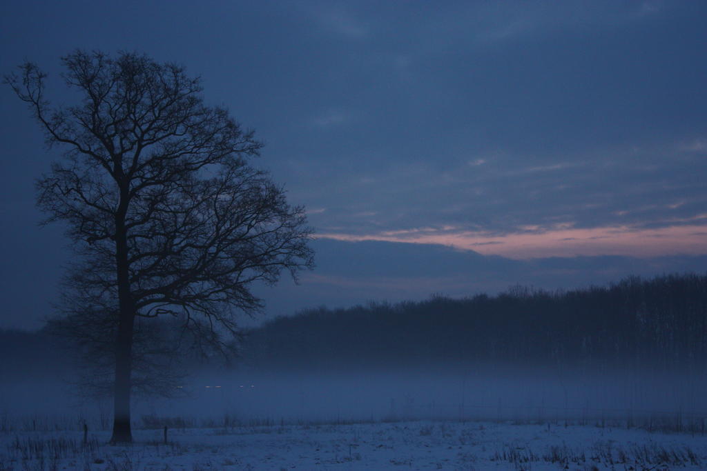 Zwaluwhof Dalfsen Bagian luar foto